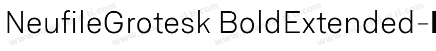 NeufileGrotesk BoldExtended字体转换